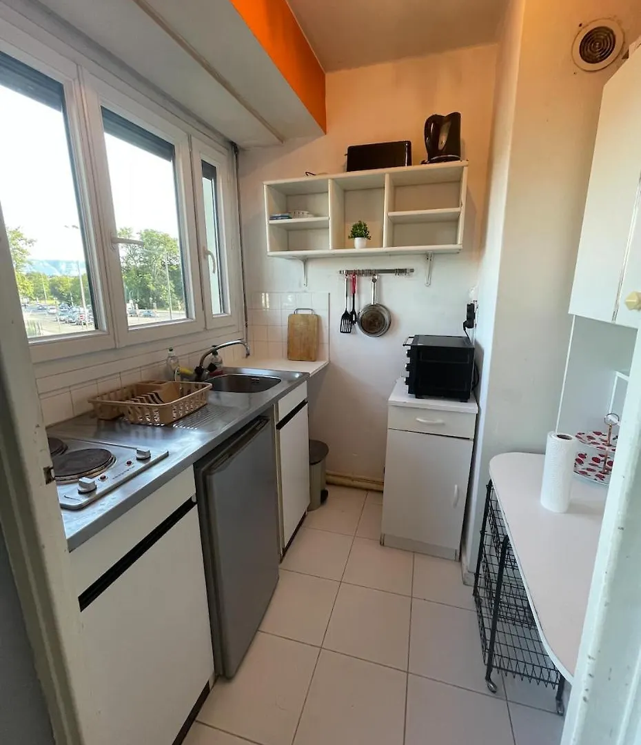 Geneva Residences Ferney-Voltaire 0*,